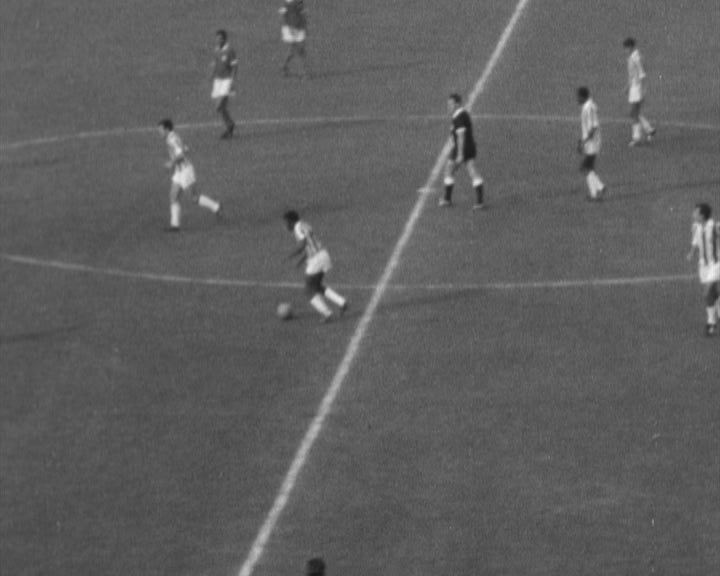 Futebol: SL Benfica vs Vitória de Setúbal