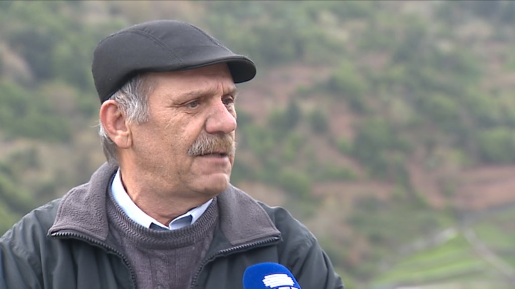 Luso venezuelanos na Ilha da Madeira