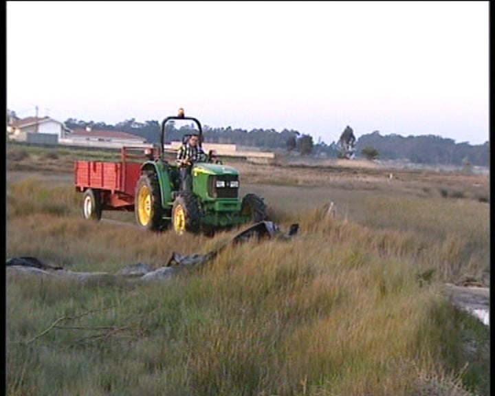 Mar avança na Ria de Aveiro