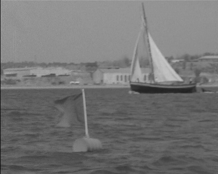 Regata Típica em Setúbal