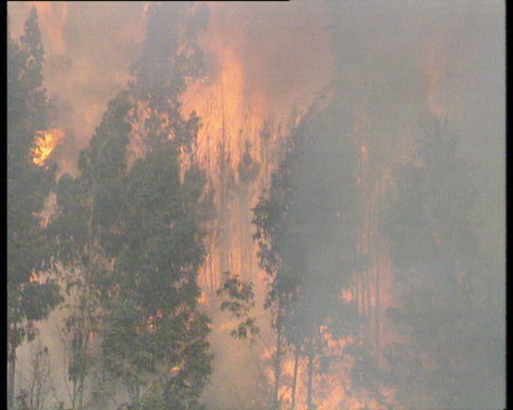 Incêndio florestal em Vila Nova de Gaia