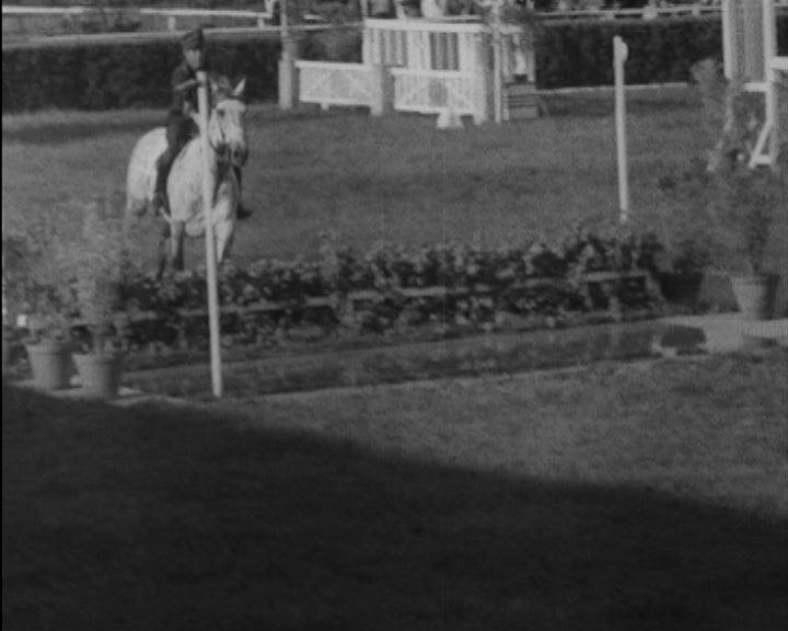 Concurso de Hipismo no Porto