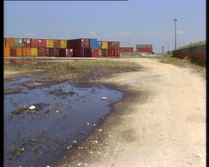 Batata apodrece no porto de Lisboa