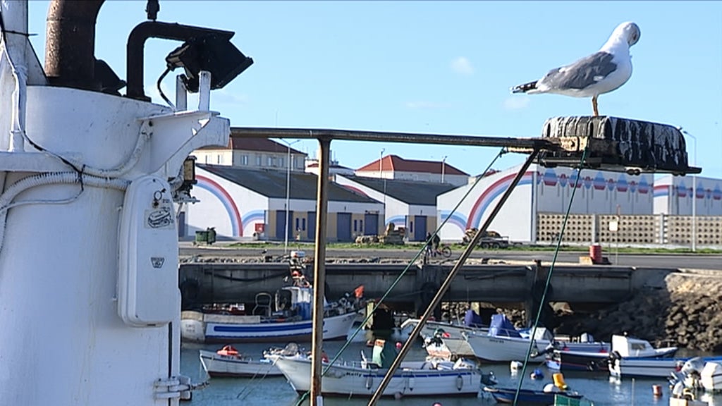 Naufrágio de embarcação de Peniche