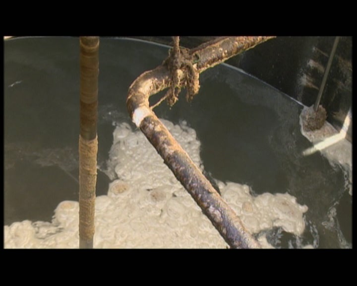 Motivados pela causa ambiental