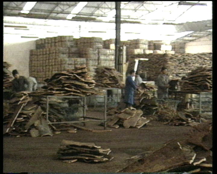 Grupo Amorim acusado de desvio de verbas do Fundo Social Europeu