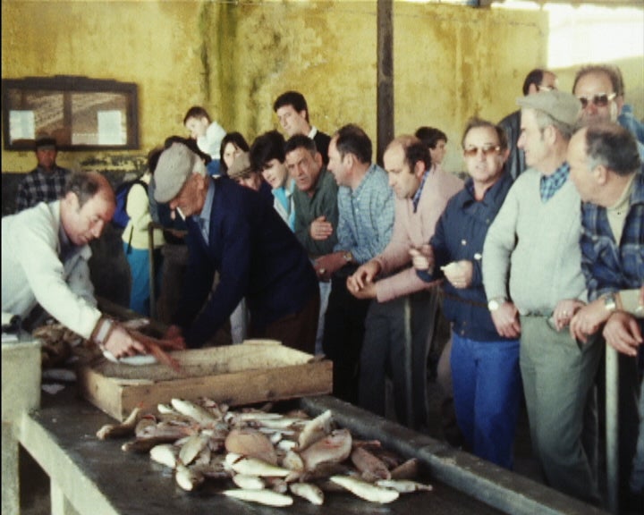 Pescadores de Portimão e de Alvor