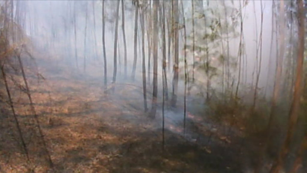 GNR identifica terrenos por limpar