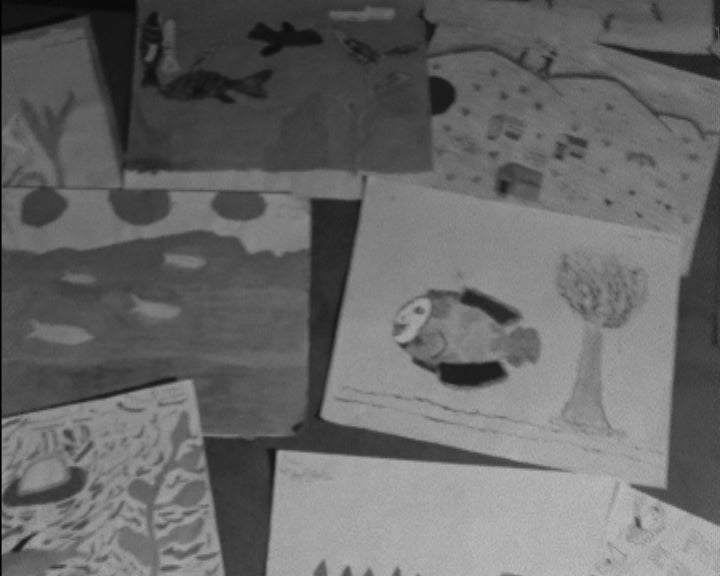 Dia Mundial do Ambiente