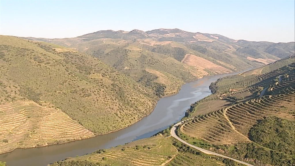 Festa das Vindimas em Mêda