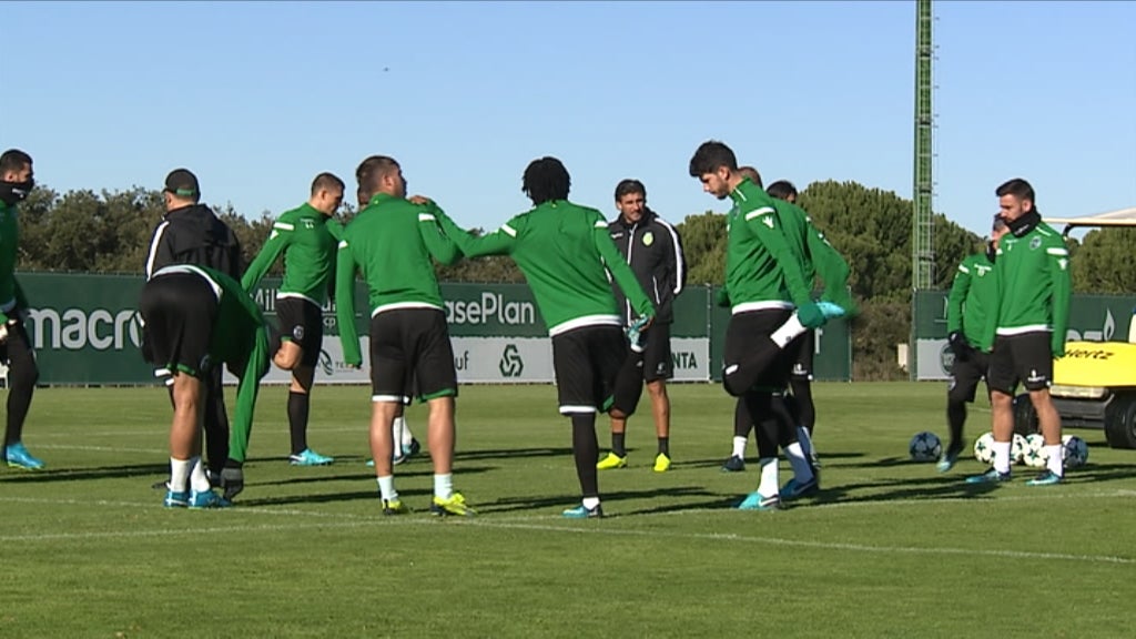 Futebol: antevisão SCP vs Portimonense