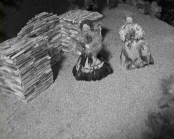 Presépio de penas de aves