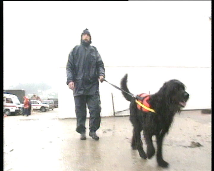 Cães treinados para encontrar corpos humanos