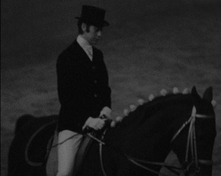 Espetáculo no Picadeiro do Palácio das Necessidades