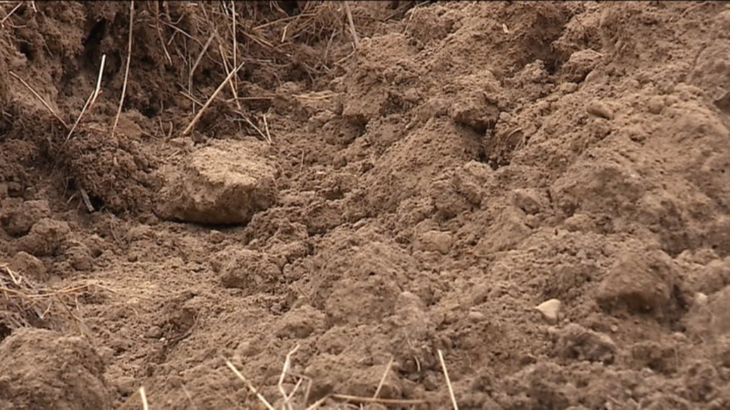 Agricultura inteligente