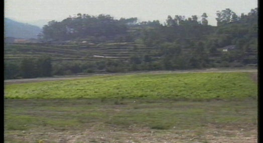 Crescimento da região do vinho verde