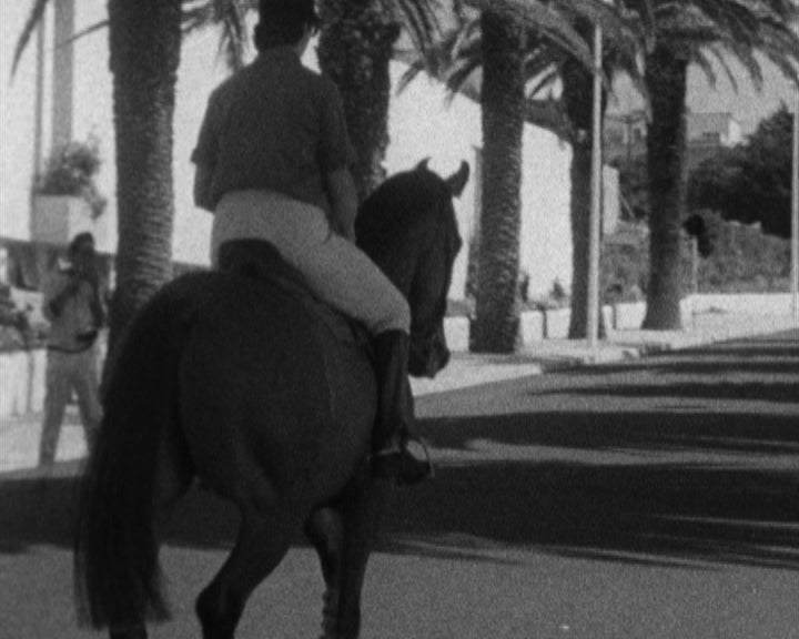 11º Rali Hípico Estoril-Sol