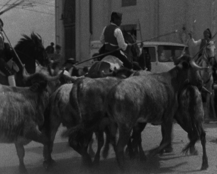 Festas do Colete Encarnado