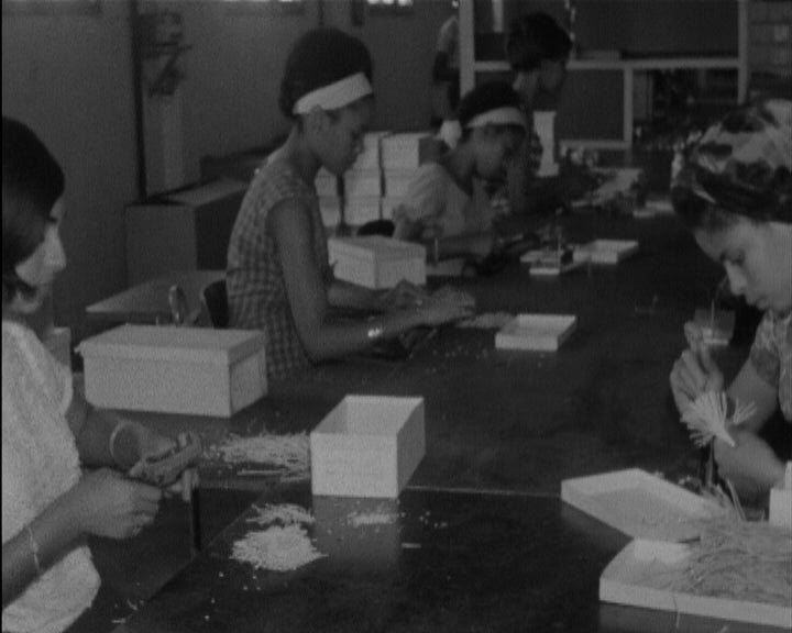 Promoção Profissional da mulher moçambicana