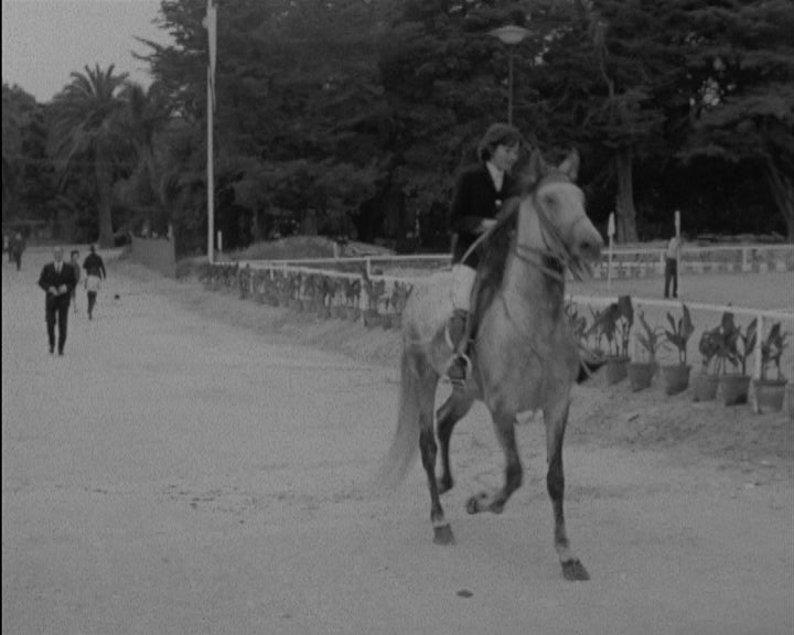 Hipismo: 8º Rali Hípico Estoril-Sol