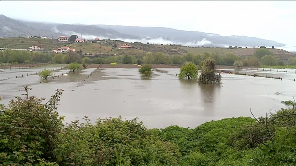 Prejuízos na agricultura provocados pelo mau tempo