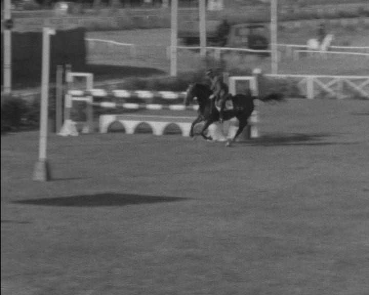 Concurso Hípico Internacional