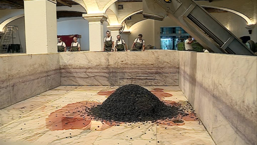 Vindimas no Alentejo