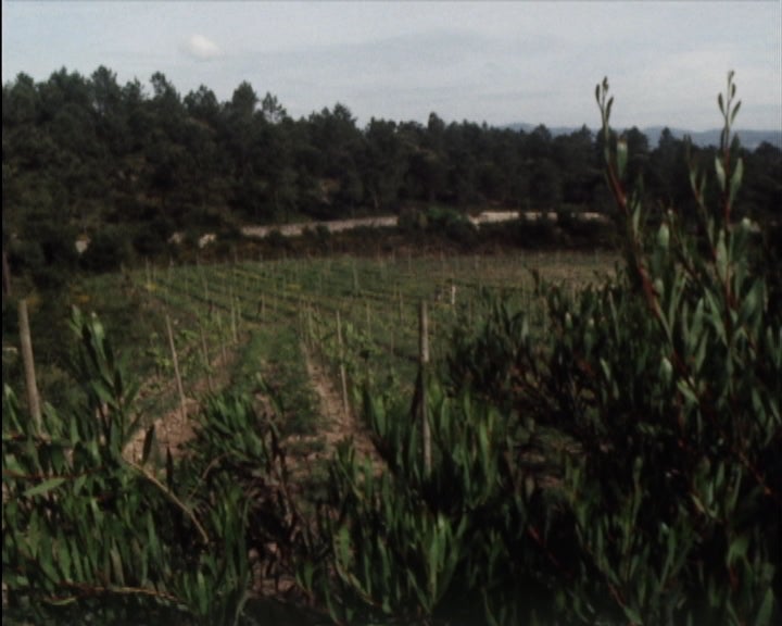 Desenvolvimento do Turismo Rural e de Habitação – III