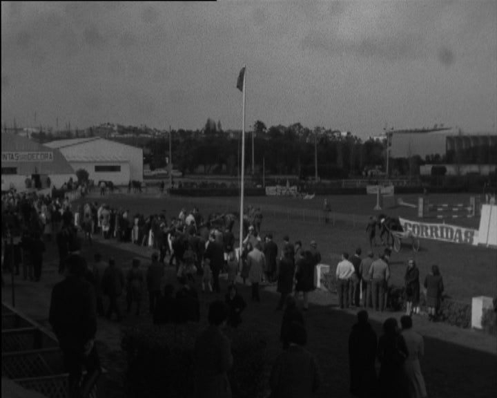 Competições hípicas