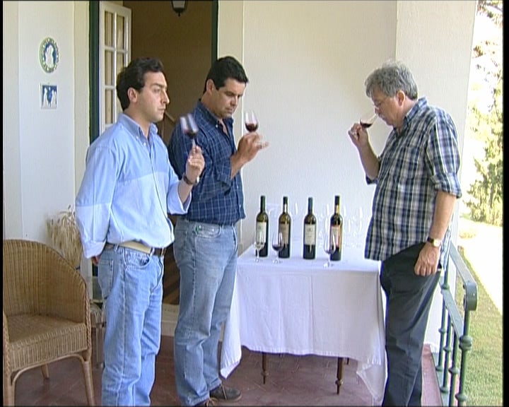 Quinta da Boavista e gastronomia de Vila Franca de Xira