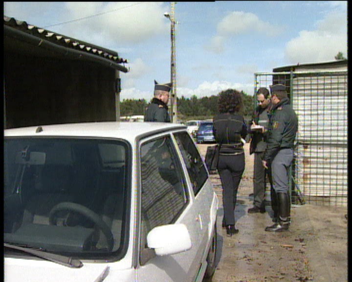 Ladrões no tribunal de Setúbal