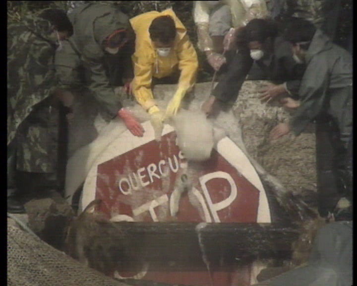 Dia Mundial da Floresta