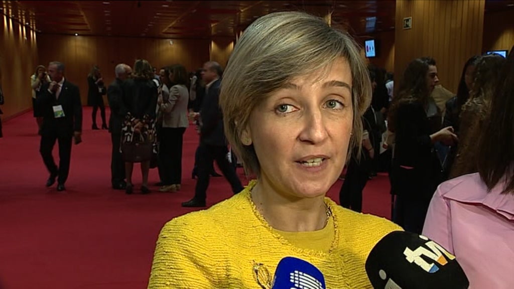 Declarações de Marta Temido