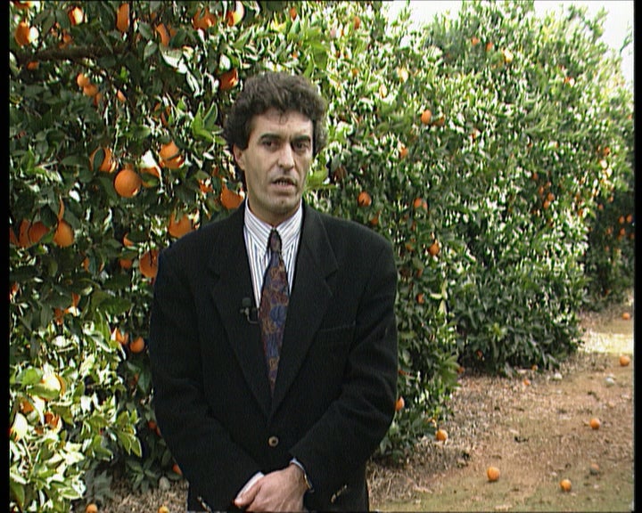 Os citrinos no Algarve