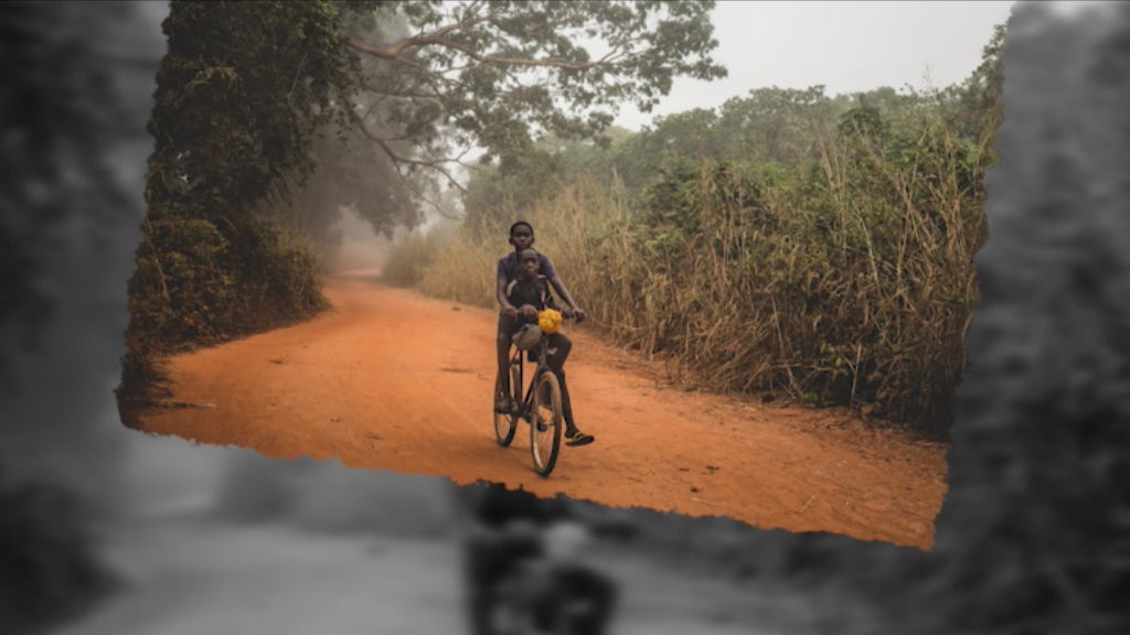 Fotógrafo Timothy Lima