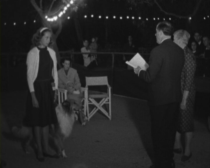 IV Exposição Canina Internacional do Estoril