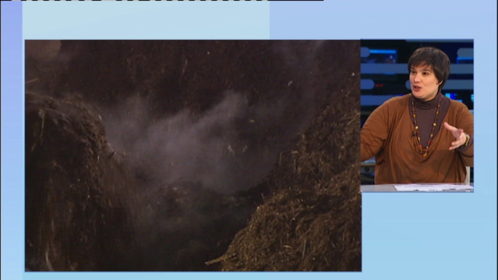 Entrevista a Carla Graça