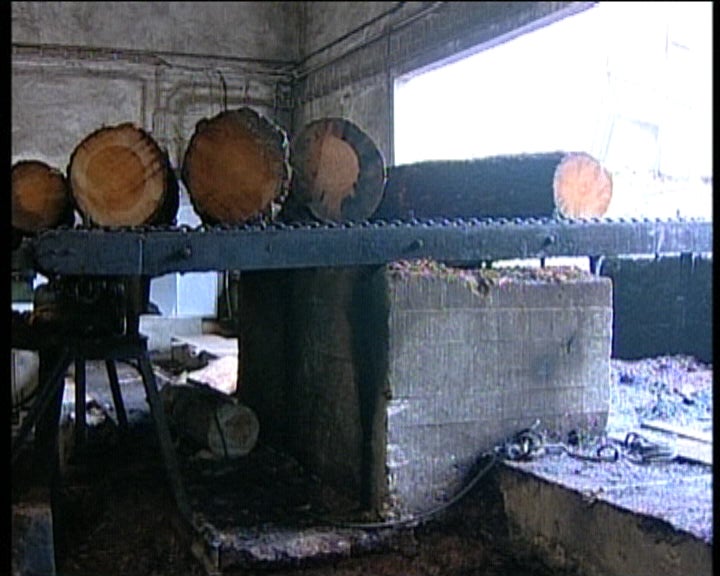 Crise no sector da madeira