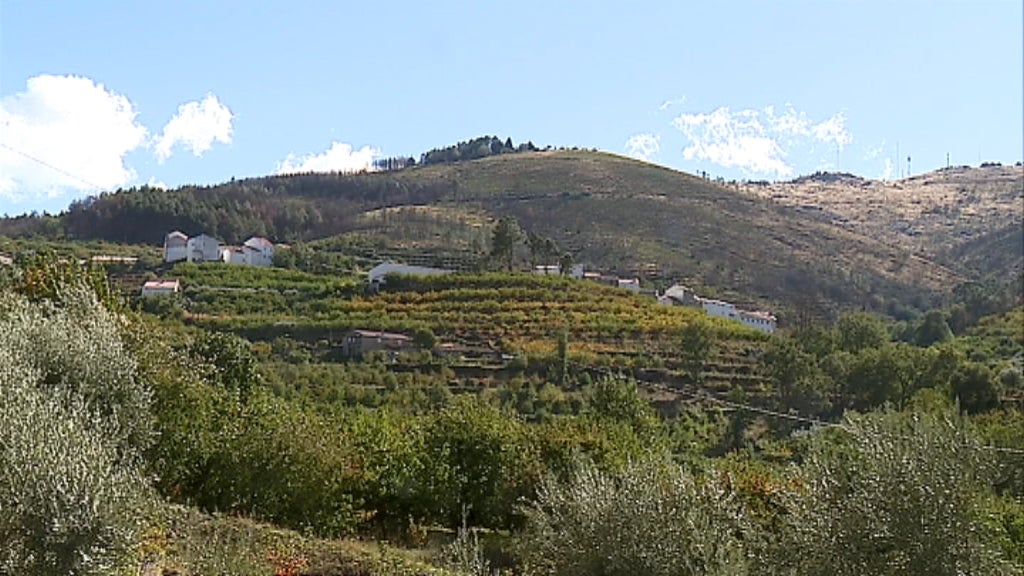 Reflorestação na Serra da Gardunha