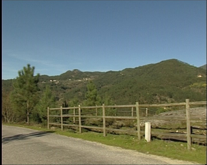 Oliveira de Frades I