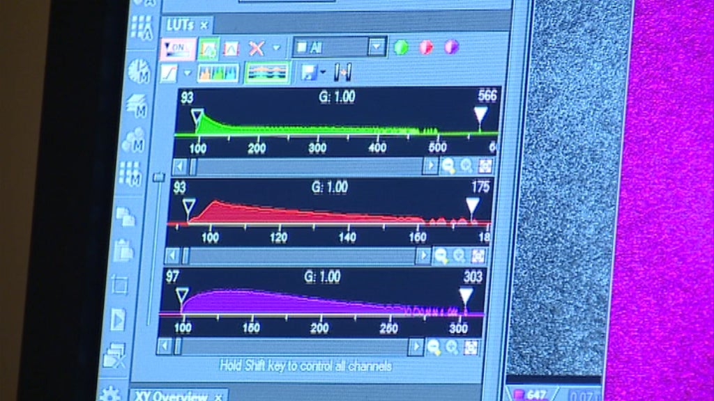 Integração dos trabalhadores precários
