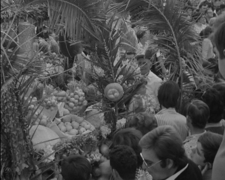 Cortejo etnográfico em Sobreiro