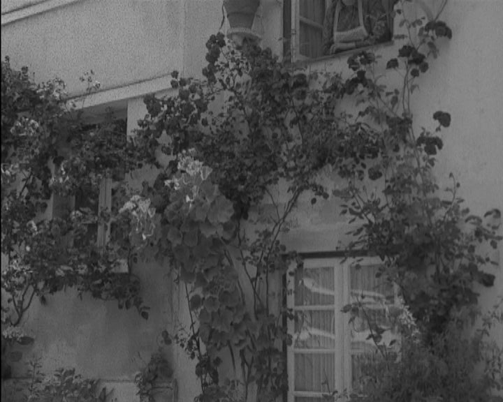 Concurso de janelas floridas