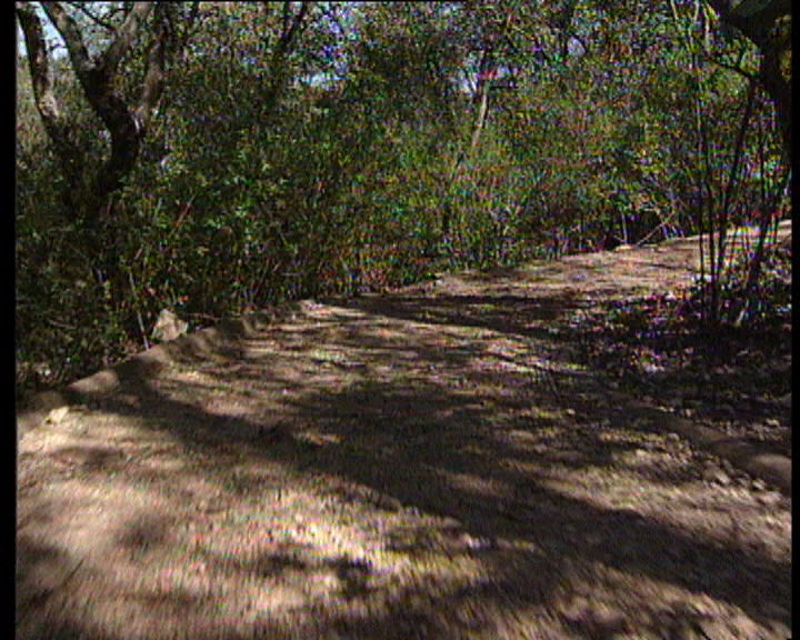 Novo parque ecológico