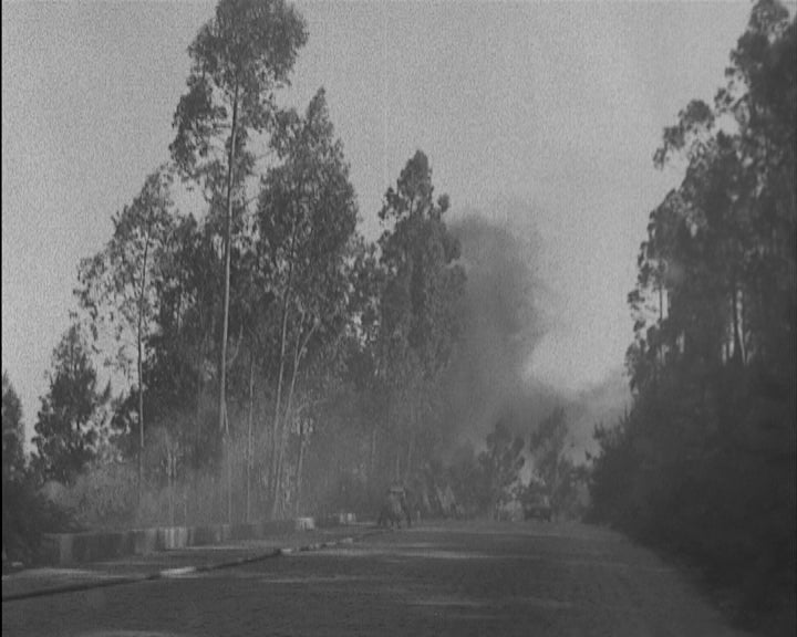 Incêndio florestal em Rechousa