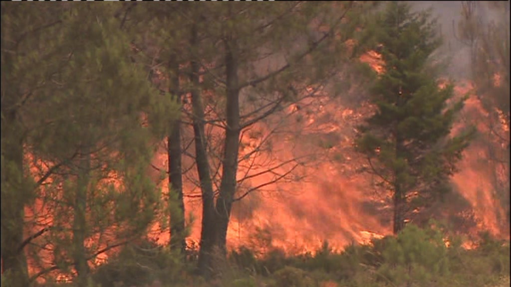 Incêndios de Pedrógão Grande