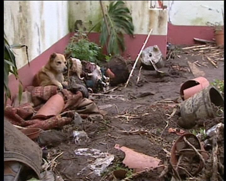 Ilha da Madeira volta à normalidade