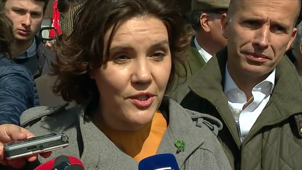 Declarações de Assunção Cristas