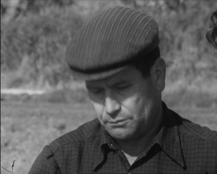 Produção de leite e de carne