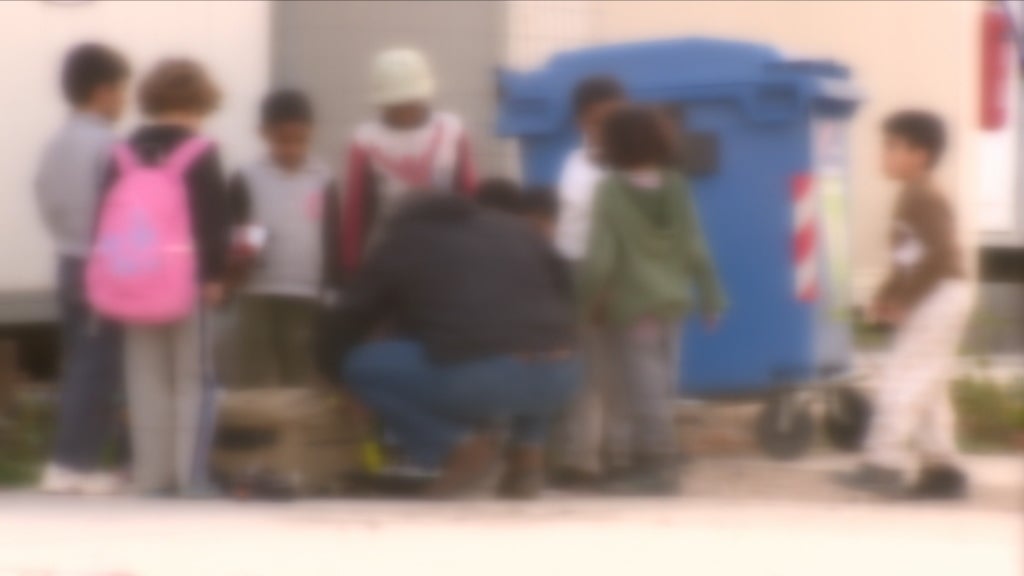 Apoios às famílias de acolhimento